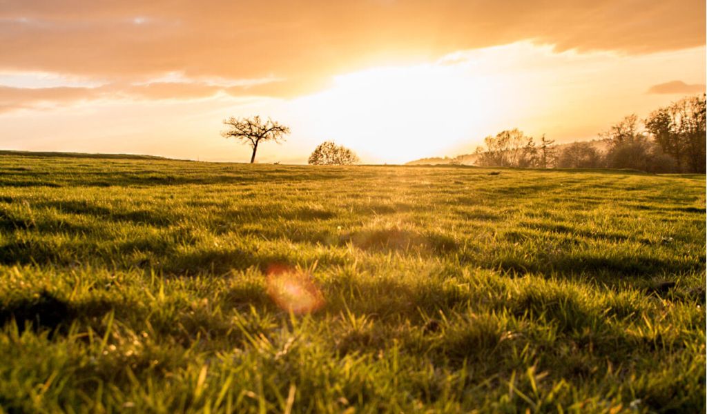 Wetter November