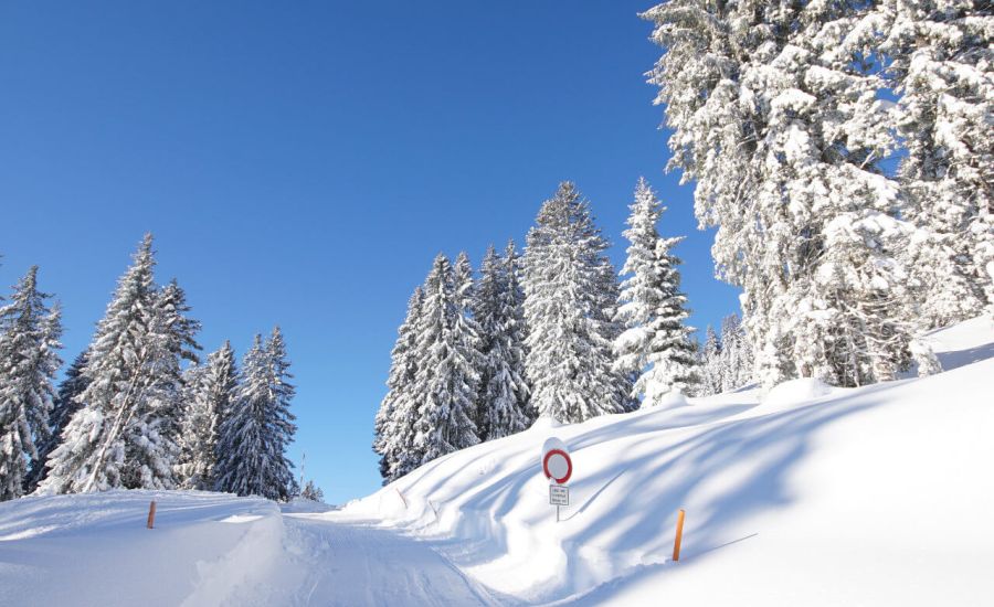 Wetter Winter - Der Schnee ist im Winter gern gesehen