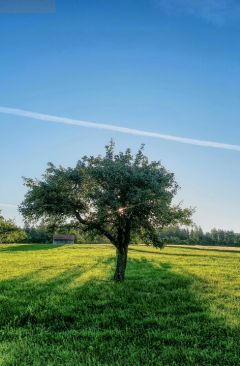Wetter Juli 2024 - Daten und Fakten