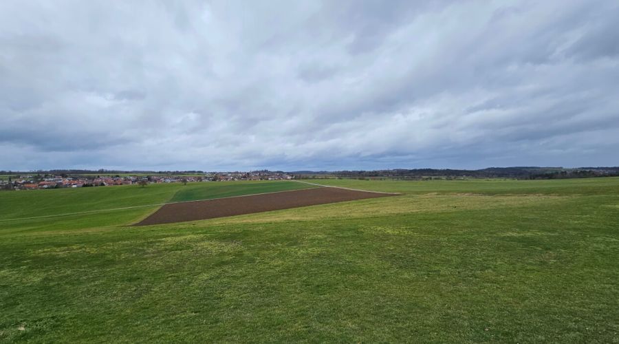 Ein kühler Ostwind dämpft die Frühlingsgefühle