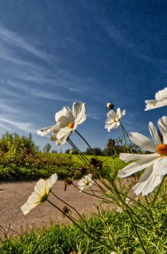 Wetter September 2018 - Daten und Fakten