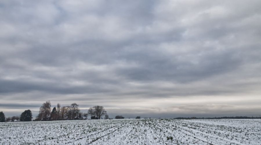 Einsetzendes Tauwetter