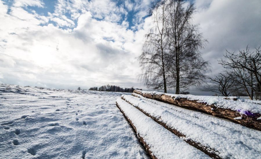 Der Winter kann mit einer Anpassung des Referenzzeitraumes normal oder zu kalt ausfallen