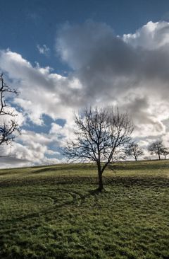 Wetter Dezember 2014 - Daten und Fakten
