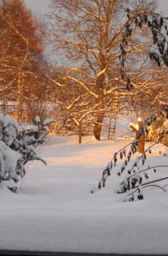 Wetter Dezember 2010 - Daten und Fakten