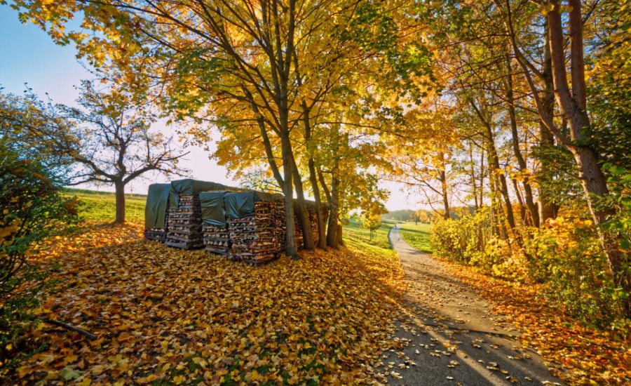 Fällt auch der November deutlich zu warm aus?