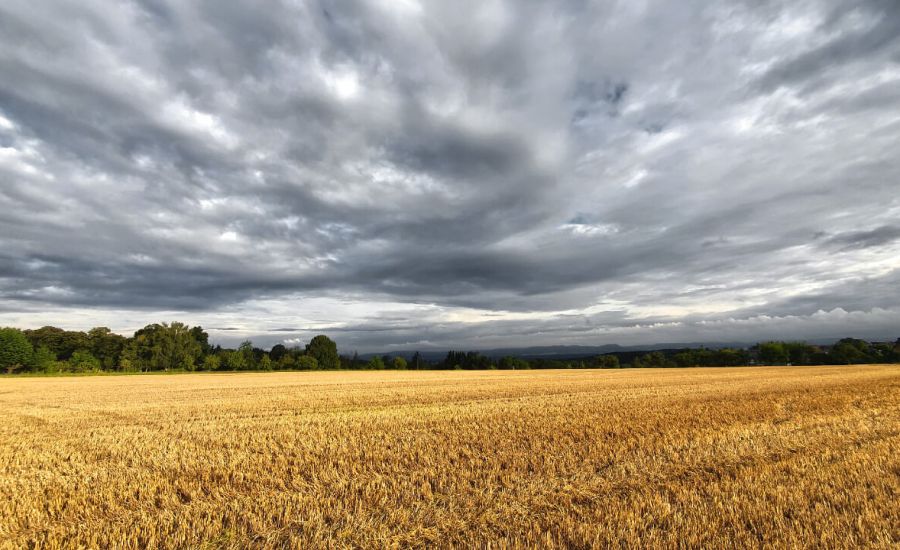 Wetterwechsel im Siebenschläferzeitraum?