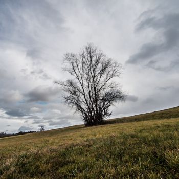 Hat der Winter im Februar überhaupt noch eine Chance?