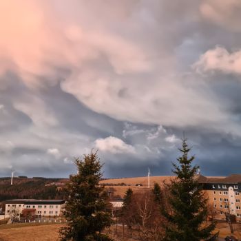 Der Winter im Dezember ohne Chance? © Martin Bloch