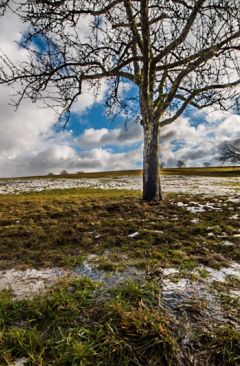 Wetter Januar 2019 - Daten und Fakten