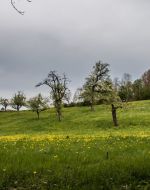 Polarluft kann dem Vollfrühling einen ordentlichen und nachhaltigen Dämpfer verpassen