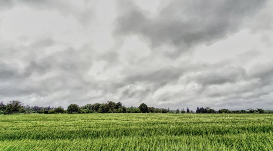 Der hochsommerliche Wettercharakter endet am Wochenende und kann über dem Süden regional für kräftigen Niederschlag sorgen