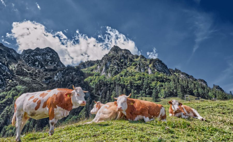 Weniger Hitze, mehr Schauer und Gewitter?