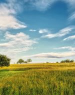 Der Sommer bahnt sich an und verschärft mit einer trockenen Witterung die Dürre