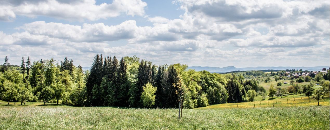 Wetter Frühling - Daten und Fakten