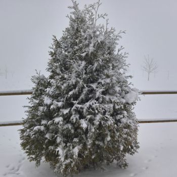Der nachhaltige Flachland-Winter ohne Chance?
