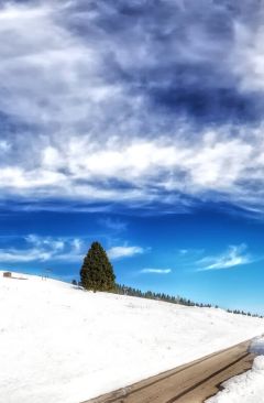 Wetter Dezember 2024 - Daten und Fakten