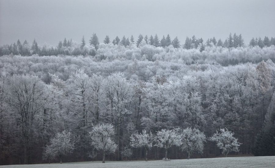 Welche Rolle spielt der Frühwinter in der letzten Novemberdekade?