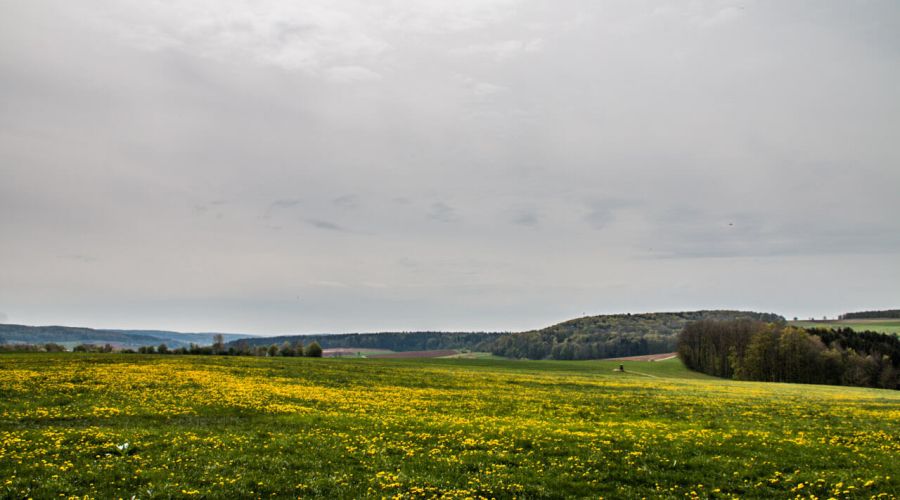 Durchwachsenes Wetter - über dem Süden unwetterartige Regenmengen möglich