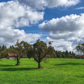 Goldenes Oktoberwetter