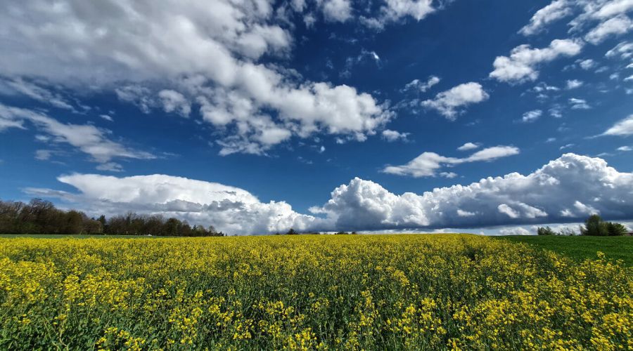 Sommerwetter Anfang Mai - doch bahnt sich ein Wetterwechsel samt Temperatursturz an