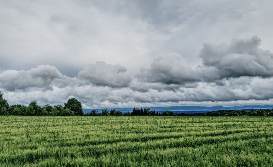Wetter Pfingsten - Häufiger sind schon kräftige Schauer und Gewitter möglich.