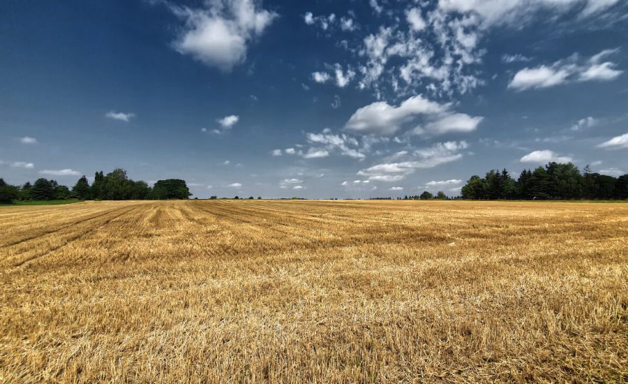 Hitze und Dürre auch im August?