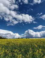 Sommerwetter Anfang Mai - doch bahnt sich ein Wetterwechsel samt Temperatursturz an