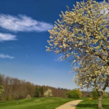 Durchbruch des Frühlings bis Ostern?