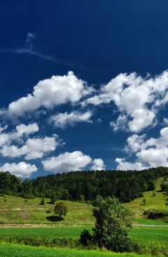 Wetter August 2022 - Daten und Fakten