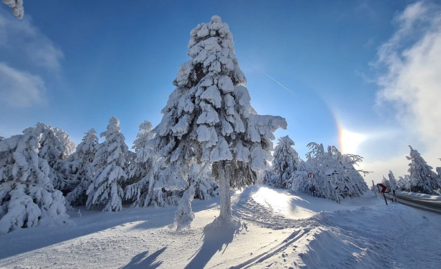 Hochwinterliche Wetteraussichten oder doch die milden Luftmassen aus südwestlichen Richtungen? © Martin Bloch