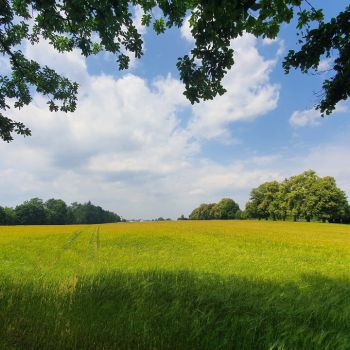 Ein sommerlich warmer Start in den Juli