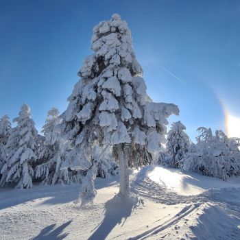 Ein Winterwunderland zum Wochenende © Martin Bloch
