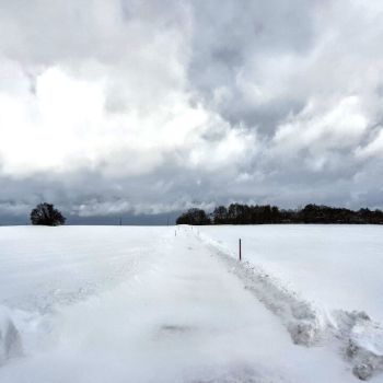Kehrt der Winter im Februar zurück?