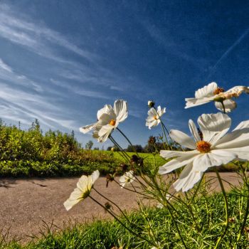 Ein im September verbreitet spätsommerlich warmer Wettercharakter