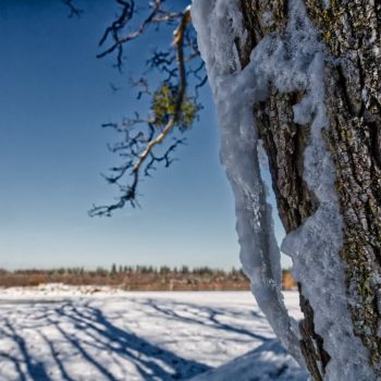 Einnachhaltiger Wintereinbruch oder ein Winterflop?