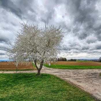 Wildes und turbulentes Aprilwetter?