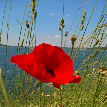 Hitze-Wetter im Juni
