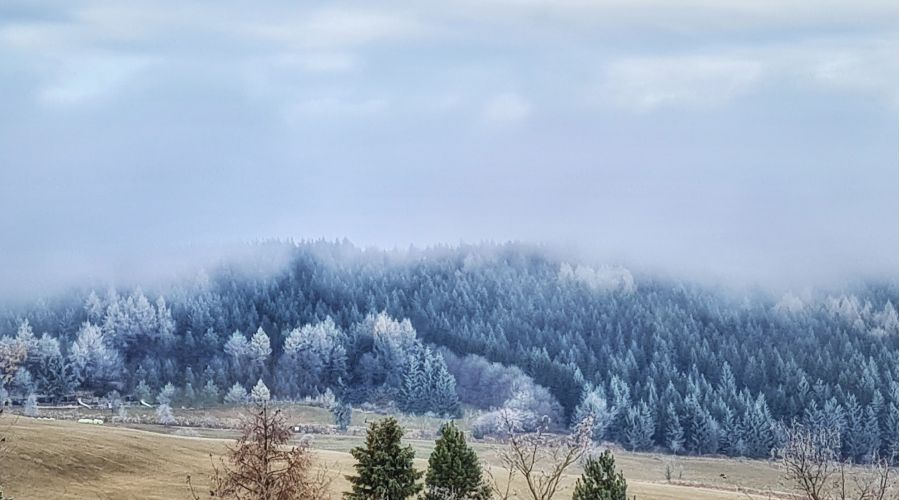 Sorgt ein markanter Wetterwechsel im November für den ersten Schneefall? © Martin Bloch