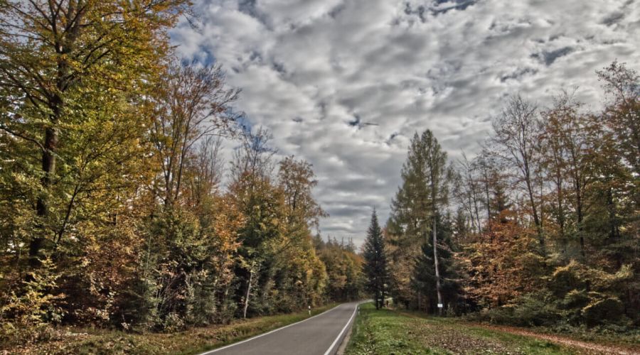 Ein weiterhin unbeständiges Novemberwetter