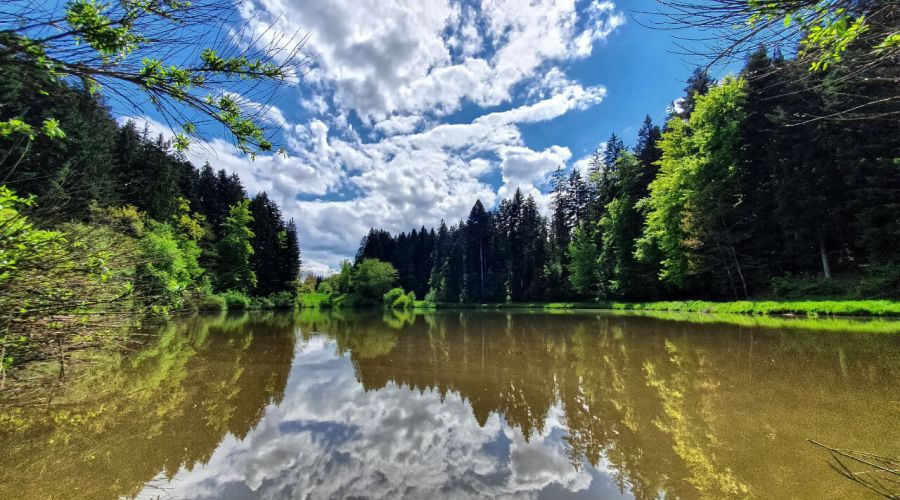 Sommerhoch oder weiter unwetterartige Wetterereignisse?