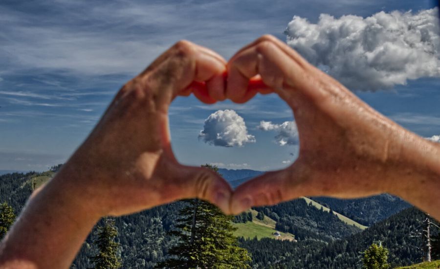 Niederschlag ist erwünscht