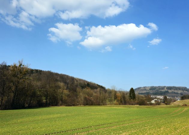 Das Wetter im März 2025 war deutlich zu warm, extrem trocken und ungewöhnlich sonnig