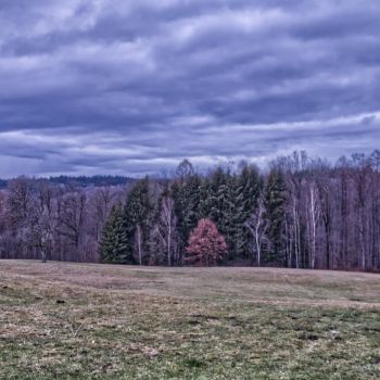 Ein markanter Wetterwechsel im November?