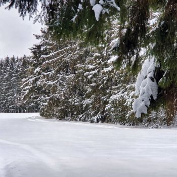 Hält - oder verstärkt - sich der Arctic Outbreak?