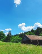 Der Juli - hochsommerlich heiß oder unwetterartig und gewitterträchtig?
