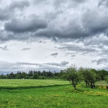 Weitere - kräftige und örtlich unwetterartige  - Schauer und Gewitter über Deutschland