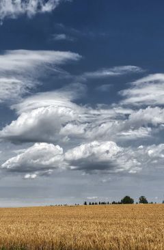 Wetter September 2022 - Daten und Fakten