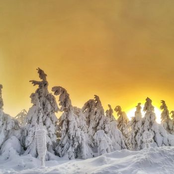 Kommt der Winter nach Weihnachten? © Martin Bloch