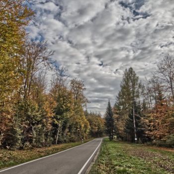 Der Novemberblues mit einem Mix aus Sonne, Wolken und dichten Nebelfeldern
